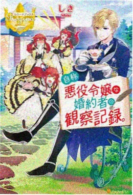 大地影视推荐治愈奇幻动漫星野拾光海报